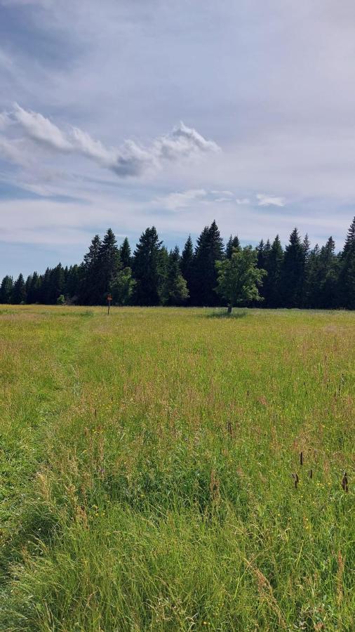 Apartament Kvilda! Apartman Terezka Zewnętrze zdjęcie